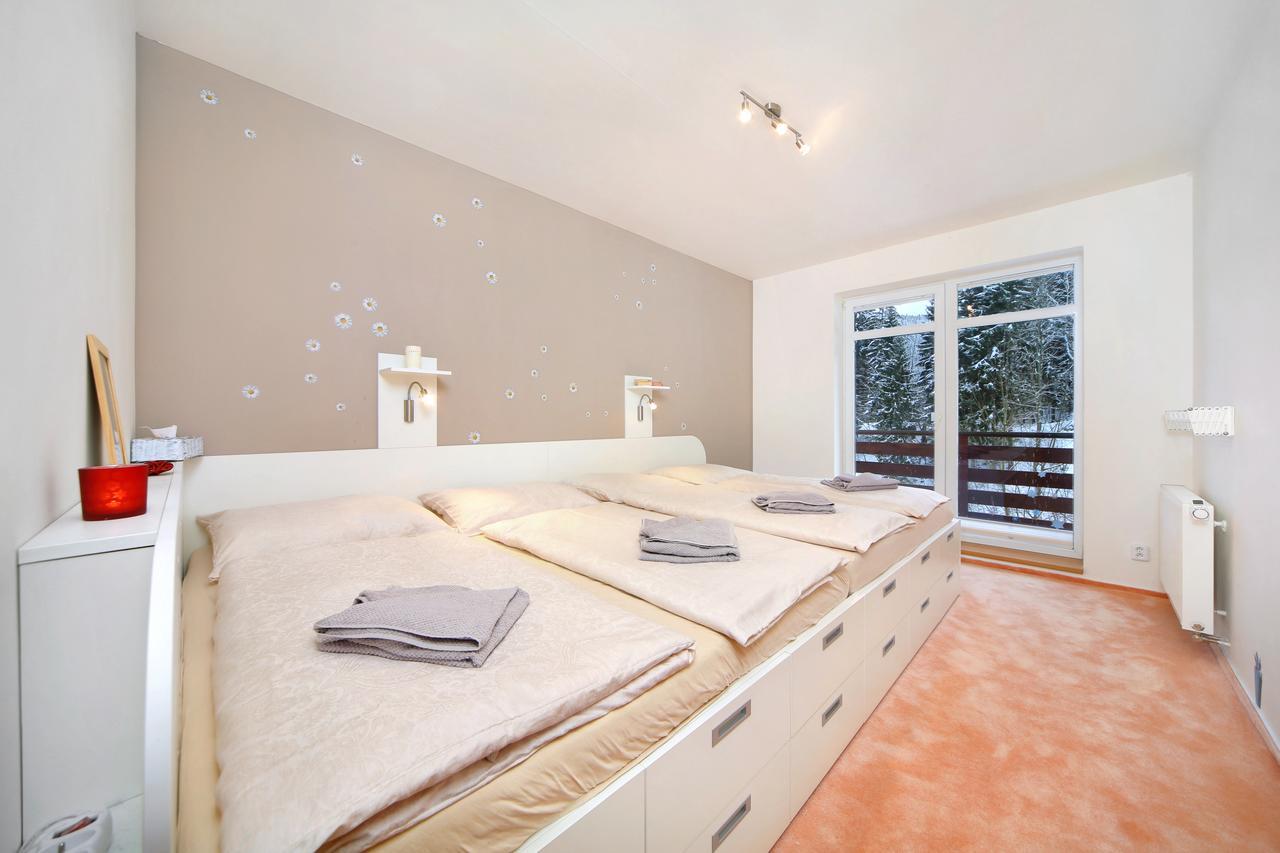 Apartment Labská 108 Špindlerův MLýn Exteriér fotografie